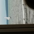 20140726_184849