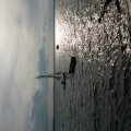 20140726_185044