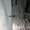 20140726_185105