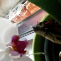 20140920_121208