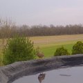 IMG-20120319-00003