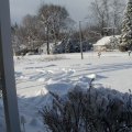 SANY0027