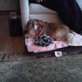IMG_20130123_175040