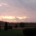 field