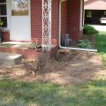 Picture 011