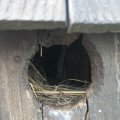 100_0217 (1)