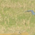 male bluebird flying to female