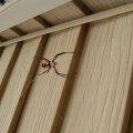Spider 4