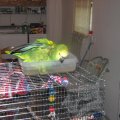 IMG_1160