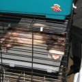 IMG_0143