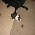 IMG_1812