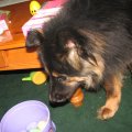 IMG_1864