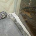 P3010020