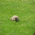 IMG_0824