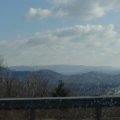 Virginia1