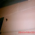 S1010034