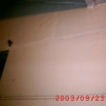S1010035