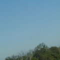 P9240049