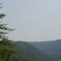 P7070013