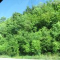 IMG_7861