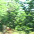 IMG_7871