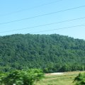 IMG_7874