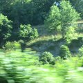 IMG_7878