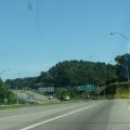 IMG_7880