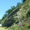 IMG_7885