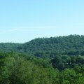 IMG_7886