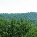 IMG_7887
