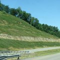 IMG_7893