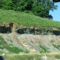 IMG_7895