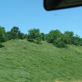 IMG_7896