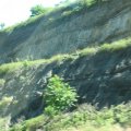 IMG_7897