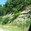 IMG_7919