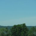 IMG_7933
