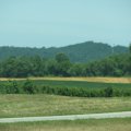 IMG_7935