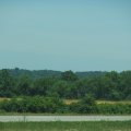 IMG_7936