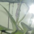 P7140118