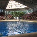 IMG_0876
