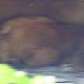 DSC00534