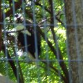 DSC00537