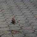 DSC00540