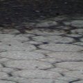 DSC00541