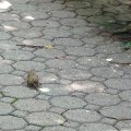 DSC00543
