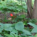 DSC00545