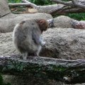 DSC00546