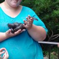 DSC00554