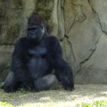 DSC00565